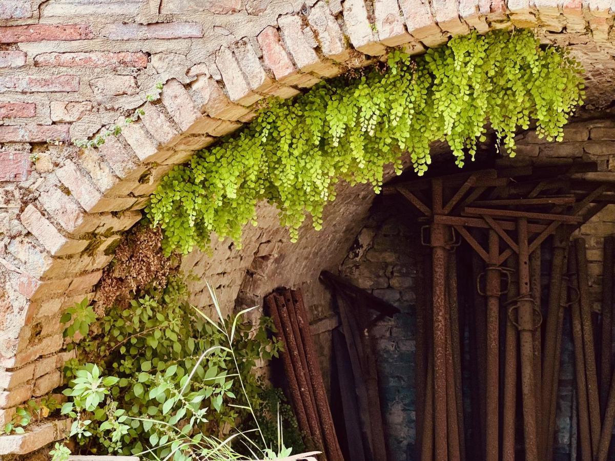 Apartmán Le Fonti Di San Gimignano Exteriér fotografie